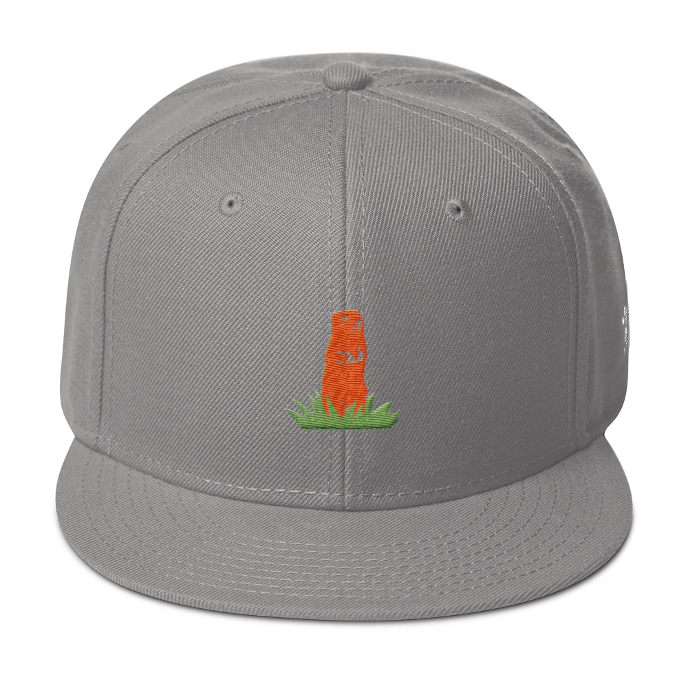 Gopher Snapback Hat
